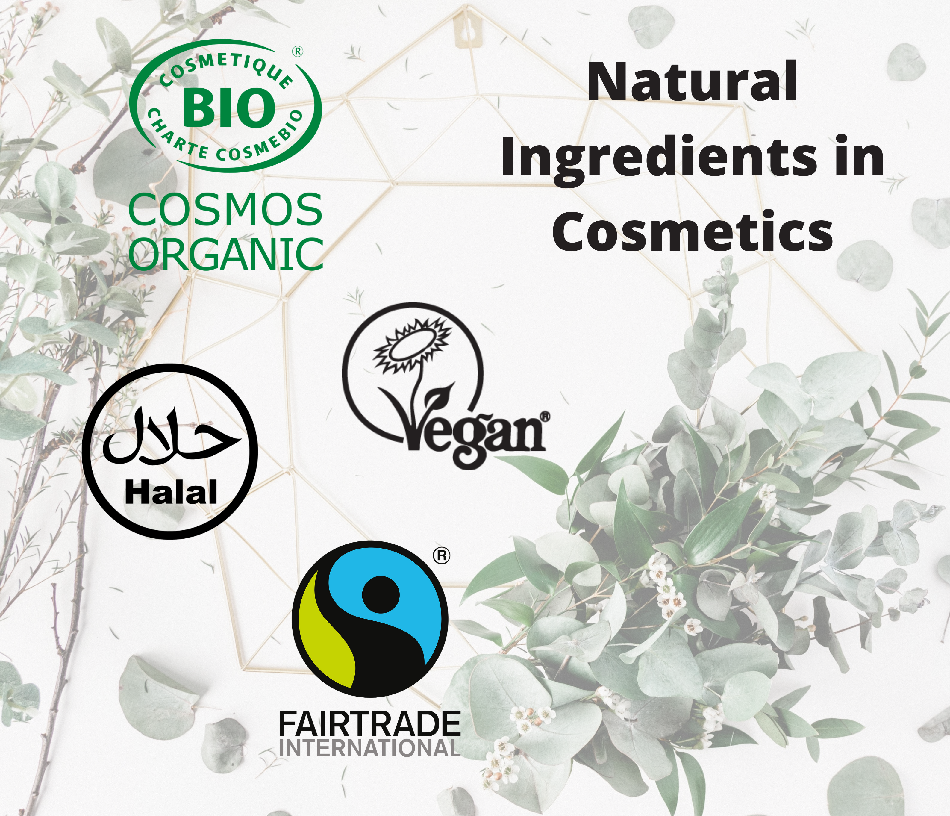 Natural Ingredients: Ethical Sourcing Becoming Industry Norm in Cosmetics Industry