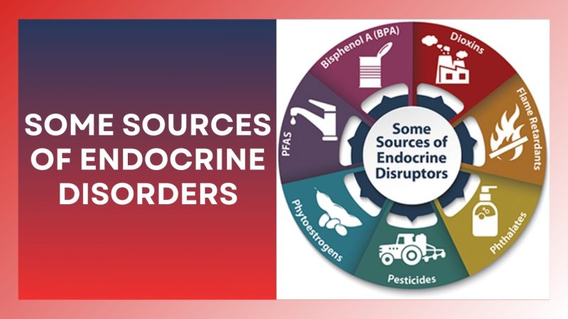 Endocrine disruption and skincare chemicals