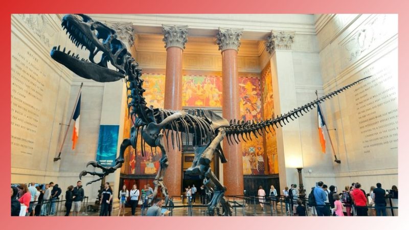 Museum of Natural History